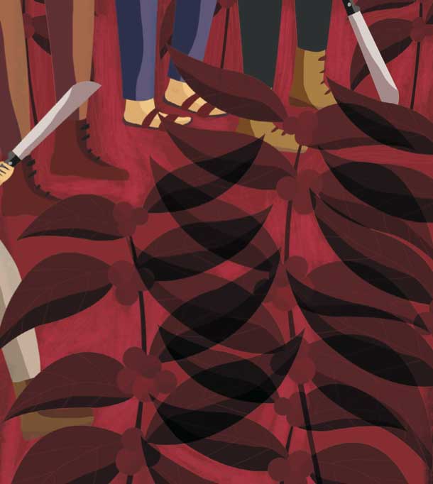 Linchamientos: la violenta ambigüedad de la justicia