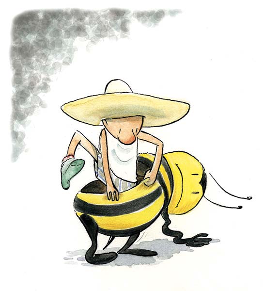 ¿Cuál es la vocación del desarrollo en México?