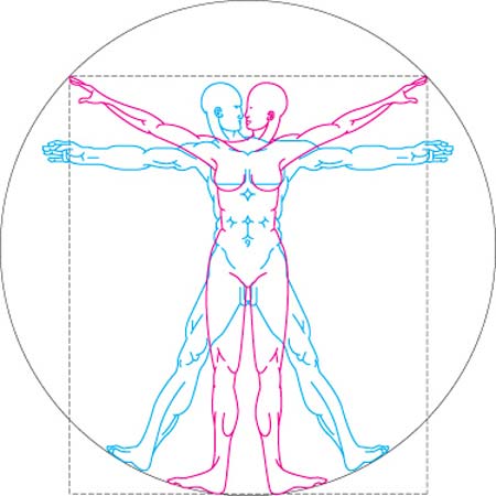 De la paridad del gabinete a la paridad de la 4T