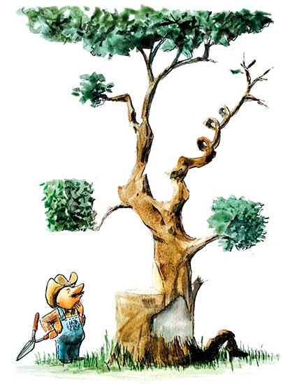 Políticas públicas en el filo de la navaja