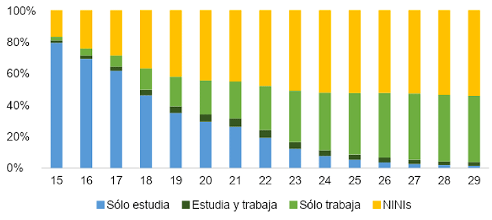 Principal actividad de los jóvenes mujeres en México por edad
