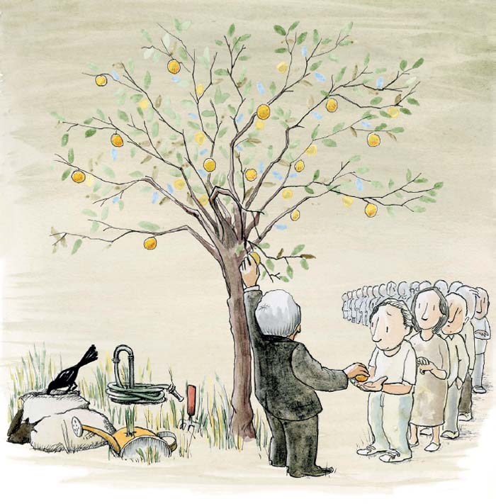 El plan es que no hay plan