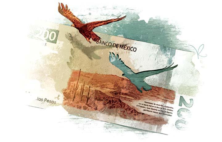 Hacia una mayor respuesta de política económica