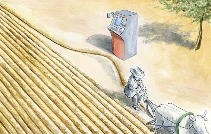 Sembrando Vida: riesgos y oportunidades frente a la austeridad y la desinstitucionalización