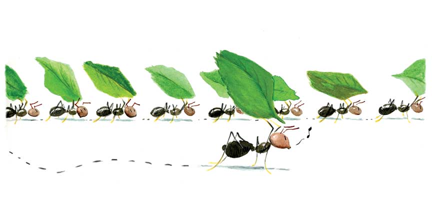 En búsqueda de empleo digno: de subcontratación y algo más